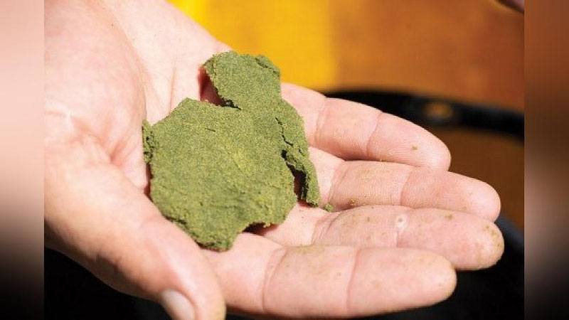 'Namanganda «gashish» savdosi bilan shug`ullanayotgan shaxslar qo`lga olindi'ning rasmi