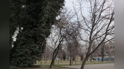 '8 мартда Ўзбекистонда қандай об-ҳаво кузатилади?'ning rasmi