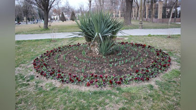 '10 март куни Ўзбекистонда об-ҳаво ҳарорати 23 даражагача кўтарилади'ning rasmi