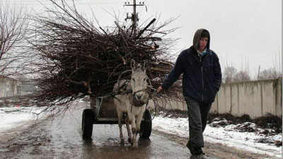 'Ўзбекистонда ҳарорат кескин совиб кетади   'ning rasmi