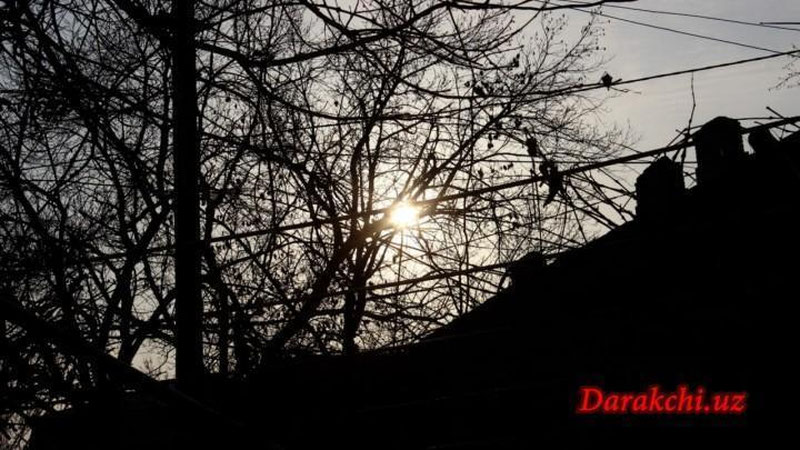 'Бугун Ўзбекистонда ҳаво ҳарорати +24 даражагача кўтарилади'ning rasmi