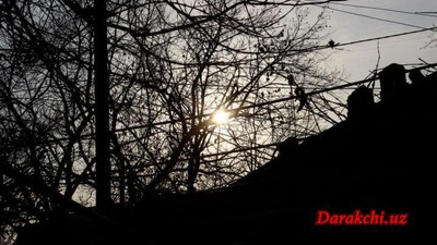 'Бугун Ўзбекистонда ҳаво ҳарорати +24 даражагача кўтарилади'ning rasmi