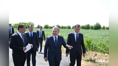 'Президент Косон туманидаги “Косон” фермер хўжалиги даласида бўлиб, ғалла ва ғўза ривожини кўздан кечирди'ning rasmi
