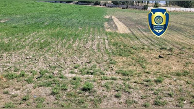 'Shahrisabzda 27,5 ming AQSh dollariga baholangan er savdosi "pishmay qoldi"'ning rasmi