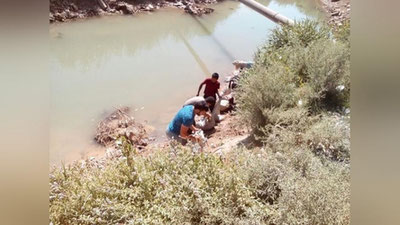 'Dam ariq kanalida suv kamayib, bir qancha hayvon suyaklari kanal yoniga chiqib qoldi'ning rasmi