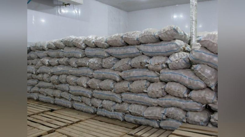 'O`zbekiston Qozog`istondan asosan qaysi oziq-ovqat mahsulotlarini import qilgani ma`lum bo`ldi'ning rasmi