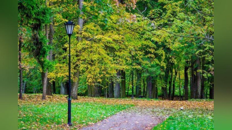 'Bugun havo harorati 21-26 daraja bo`lishi kutilmoqda'ning rasmi