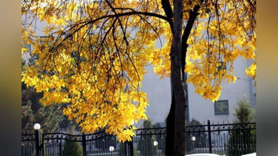 'Bugun haroart sezilarli darajada pasayadi...'ning rasmi