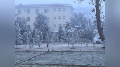 'Buxoroda bulduruq hodisasi kuzatilmoqda'ning rasmi