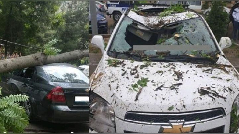 'Toshkentda kuchli shamol kuzatilmoqda'ning rasmi