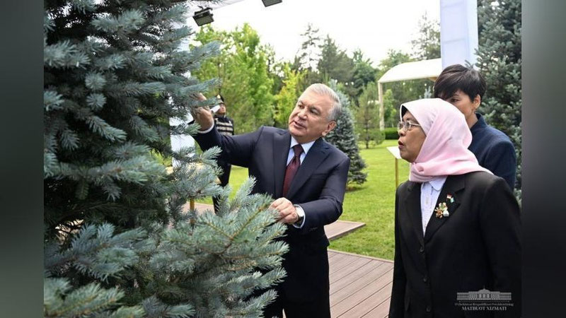 'Singapur Prezidenti “Ko`ksaroy”da daraxt ekdi (foto)'ning rasmi