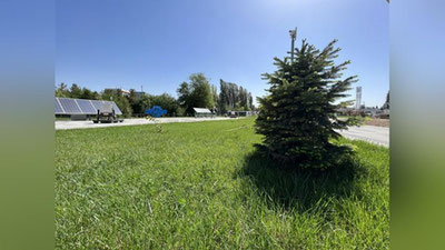 'Bugun harorat 42 darajagacha ko`tariladi'ning rasmi