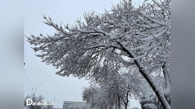 Изрображение 'В Ташкенте 11 градусов мороза: погода на 12 декабря'