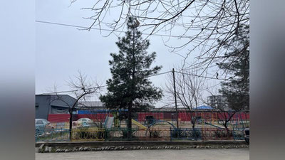 'Bugun ham O`zbekistonda bulutli salqin havo bo`ladi'ning rasmi