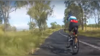 Изрображение 'ВИДЕО: КУРЬЕЗНОЕ ДТП С УЧАСТИЕМ КЕНГУРУ В АВСТРАЛИИ'