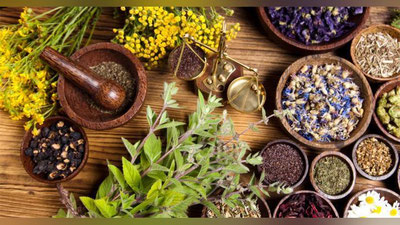 Изрображение 'В УЗБЕКИСТАНЕ ПЛАНИРУЮТ СОЗДАТЬ АССОЦИАЦИЮ НАРОДНОЙ МЕДИЦИНЫ'