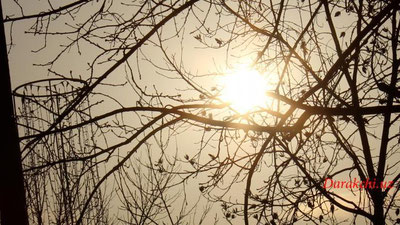 'Эртага Ўзбекистонда ҳарорат 24 даражагача кўтарилади'ning rasmi