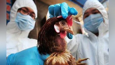 'JSST Rossiyada parranda grippining yangi turini odamlarga yuqqanligi holati bo`yicha izoh berdi'ning rasmi