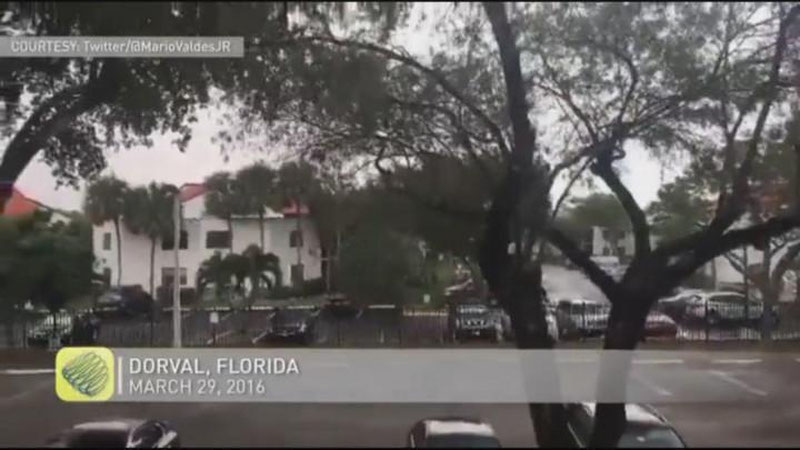 Изрображение 'На американский штат Флорида обрушились тысячи молний (Видео)'