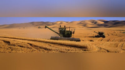 Изрображение 'НАЗНАЧЕН НОВЫЙ ГЛАВА "УЗДОНМАХСУЛОТ"'