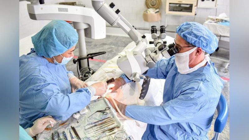 'Ko`p tarmoqli tibbiyot markazlarining nefrologiya va gemodializ bo`limlari 50 o`ringacha etkaziladi'ning rasmi