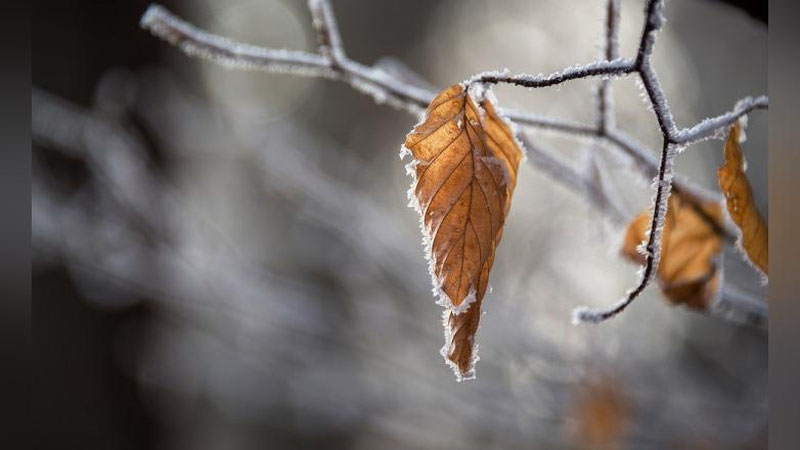 Изрображение 'ПРОГНОЗ ПОГОДЫ НА 14 НОЯБРЯ'