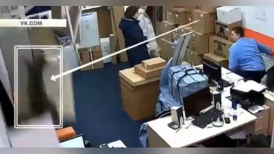 Изрображение 'КАК СНЕГ НА ГОЛОВУ: КОТ ПРОВАЛИЛСЯ СКВОЗЬ ПОТОЛОК НА СОТРУДНИКА ОФИСА (ВИДЕО)'