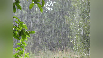 Изрображение 'В ТАШКЕНТЕ БУДЕТ ПРОХЛАДНЕЕ: 18 МАЯ ОЖИДАЮТСЯ ДОЖДИ И ГРОЗЫ'