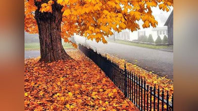 'O`zbekistonda 21 oktyabr kuni kutilayotgan ob-havo ma`lumoti e`lon qilindi'ning rasmi