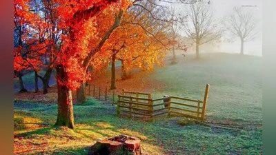 Изрображение 'ЧТО ГОТОВИТ НАМ НОЯБРЬ: ЛУННЫЙ И ДЕНЕЖНЫЙ КАЛЕНДАРЬ'