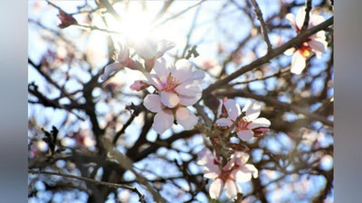 'Бугун Ўзбекистон бўйича ёғингарчилик кутилмайди, фақат...'ning rasmi