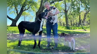 Изрображение 'Трехлетний немецкий дог из США признан самой высокой собакой в мире из ныне живущих (фото)'