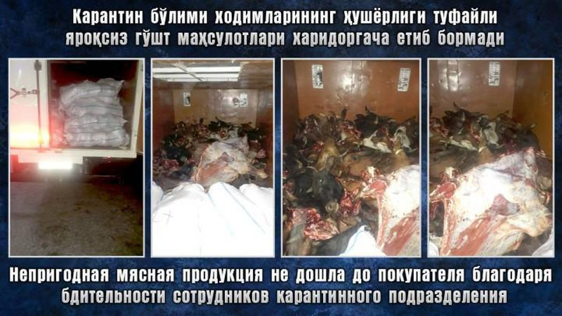'Toshkentga olib kelinayotgan kelib chiqishi nomalum, sifatsiz go`sht mahsulotlari to`xtatib qolindi'ning rasmi