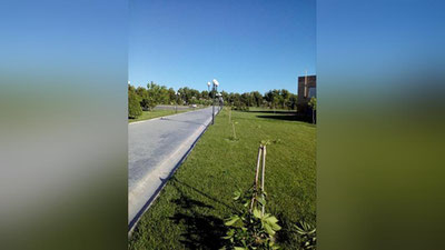 Изрображение 'САМАРКАНДЦЕВ ВОЗМУТИЛИ ВАНДАЛЫ, СЛОМАВШИЕ МОЛОДЫЕ ДЕРЕВЬЯ ВОЗЛЕ ГУР-ЭМИРА (ФОТО)'