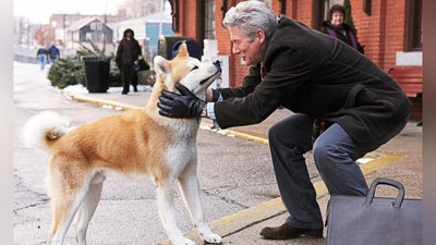 'Kino yoki reklamada suratga tushgani hayvonlar qancha haq olishini bilasizmi?'ning rasmi