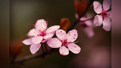 '7 aprelda qanday ob-havo kuzatiladi?'ning rasmi