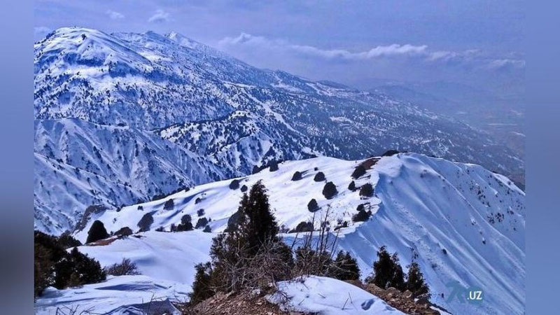 'Ўзгидромет аҳолини Чимёнда қор кўчиш хавфидан огоҳлантирди'ning rasmi