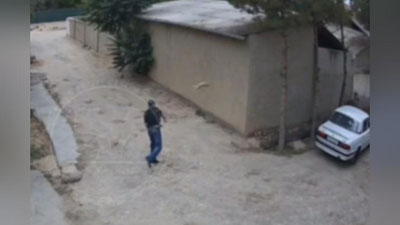 'Қашқадарёда маст эркак мушукни аёвсиз калтаклади'ning rasmi