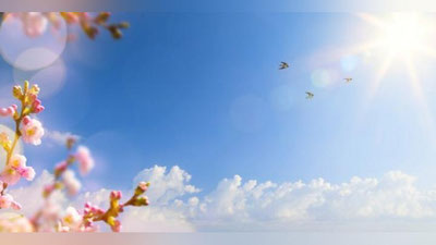 'Ertaga O`zbekistonda harorat 22 darajagacha ko`tariladi'ning rasmi