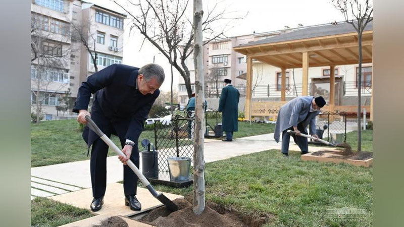 'Президент Тошкентдаги Сархумдон маҳалласига борди (фото)'ning rasmi