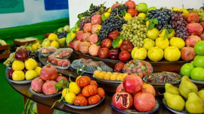 'O`zbekistonda meva va sabzavotlar eksportida qaysi hudud etakchi?'ning rasmi