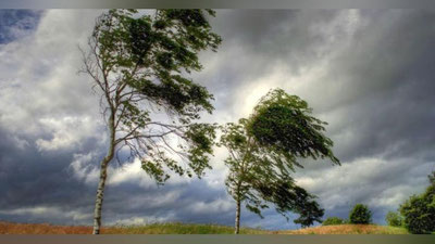 'Шамол, чанг-тўзон, қисқа муддатли ёмғир...   Бугун Ўзбекистонда қандай об-ҳаво бўлиши кутилаётгани маълум қилинди'ning rasmi