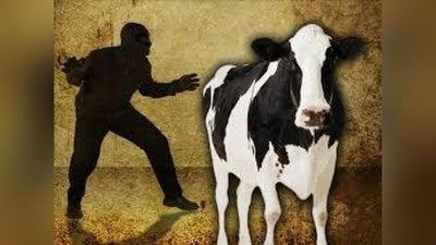 'Namanganda 18 va 19 yoshli yigitlar qarovsiz qoldirilgan qoramolni o`g`irlab ketishdi'ning rasmi