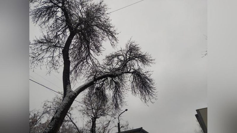 Изрображение 'В столице в первой половине дня небольшой снег: погода на 31 января'