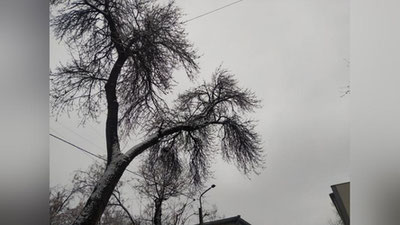 Изрображение 'В столице в первой половине дня небольшой снег: погода на 31 января'