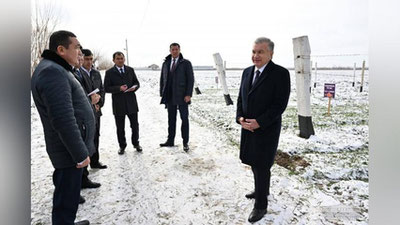 Изрображение 'Президент побывал в фермерском хозяйстве в Пахтакорском районе'