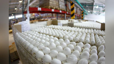 'Ўзбекистонда тухум экспортига вақтинчалик чеклов ўрнатилди'ning rasmi