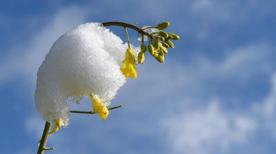 'Dam olish kunlari O`zbekistonga Erondan iliq havo oqimi kirib kelishi kutilmoqda'ning rasmi