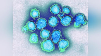 Изрображение 'Какой штамм гриппа сейчас циркулирует в Узбекистане?'