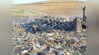 Изрображение 'КОРЕЙСКАЯ КОМПАНИЯ ИНВЕСТИРУЕТ В ПРОЕКТ ПО ПЕРЕРАБОТКЕ МУСОРА В УЗБЕКИСТАНЕ'